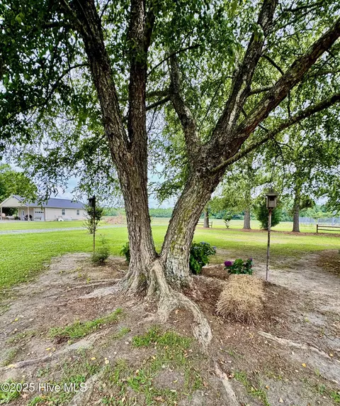 1803 Liddell Rd, Deep Run, NC 28525 photo 65