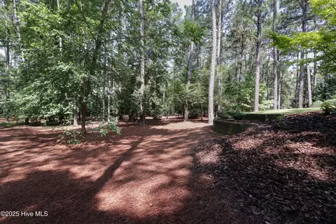 5 Oxton Cir, Pinehurst, NC 28374 photo 42