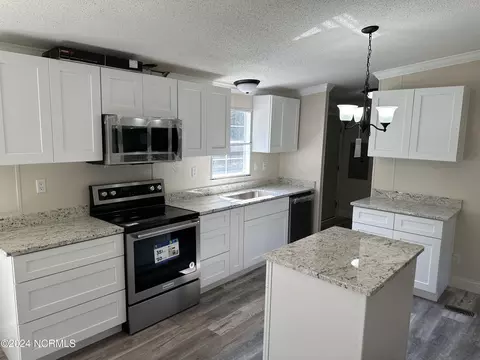 14501 Austin Cir, Gibson, NC 28343 photo 3