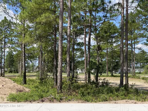8743 Compass Pointe West Wynd Wynd NE, Leland, NC 28451