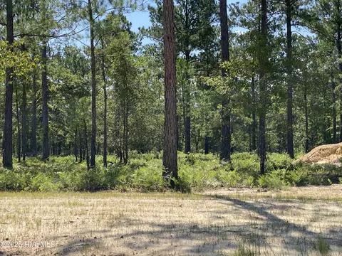 8756 Compass Pointe West Wynd Wynd NE, Leland, NC 28451