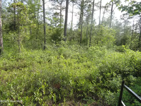 2 River Trl, Burgaw, NC 28425