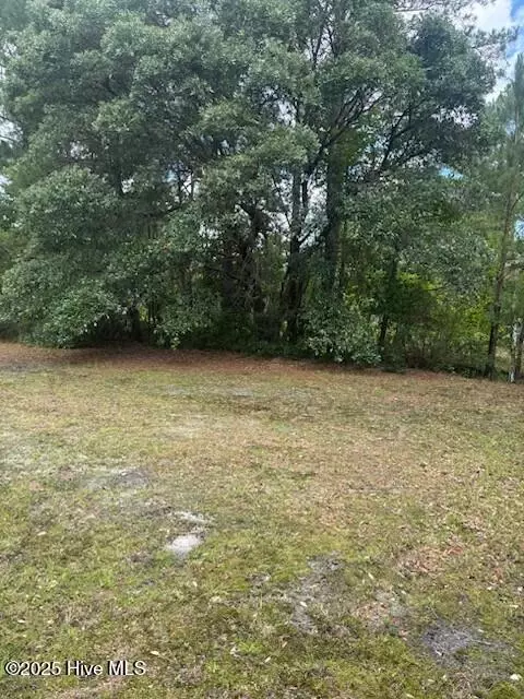 0 Us 17 Hwy, Hampstead, NC 28443
