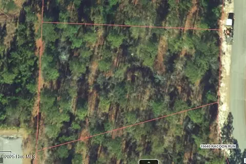28 Racoon Run, Wagram, NC 28396