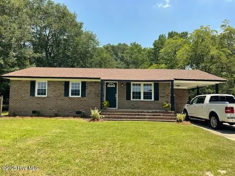 1451 Old Pink Hill Rd, Deep Run, NC 28525