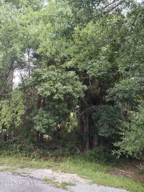 106 Taylor Ln, Hubert, NC 28539 photo 3