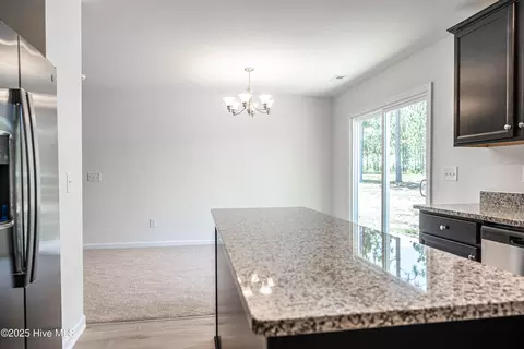 481 Peggy Mill Rd, Hamlet, NC 28345 photo 19