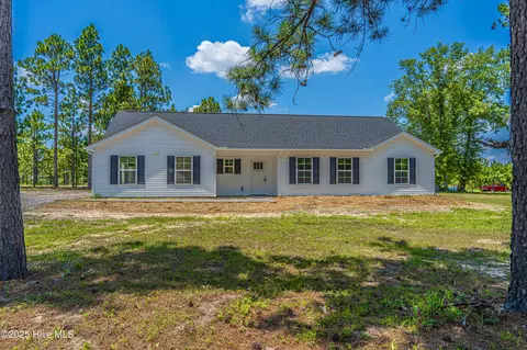 481 Peggy Mill Rd, Hamlet, NC 28345 photo 8