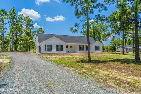 481 Peggy Mill Rd, Hamlet, NC 28345 photo 2