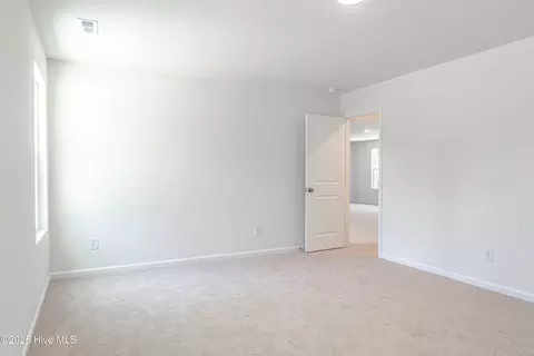 481 Peggy Mill Rd, Hamlet, NC 28345 photo 25