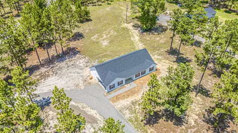 481 Peggy Mill Rd, Hamlet, NC 28345 photo 3
