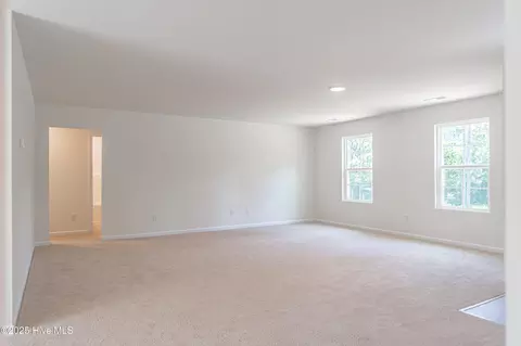 481 Peggy Mill Rd, Hamlet, NC 28345 photo 12