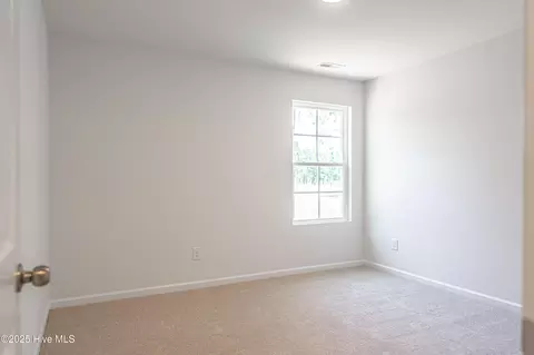 481 Peggy Mill Rd, Hamlet, NC 28345 photo 37
