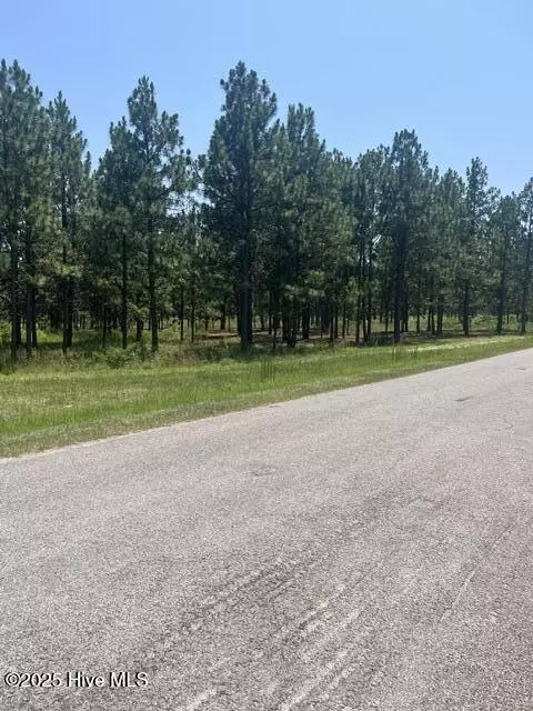 lot B Shaver Ln, Jackson Springs, NC 27281