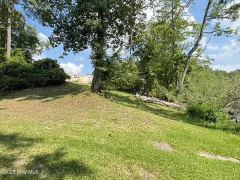 207 Rose Rd, Como, NC 27818 photo 8