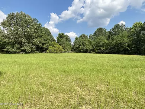 207 Rose Rd, Como, NC 27818 photo 12