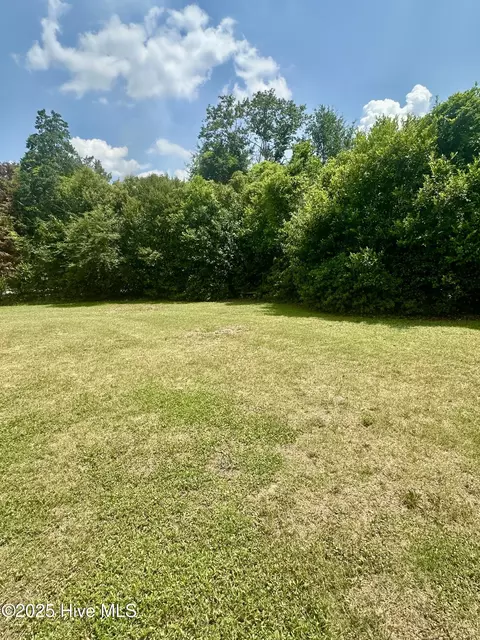 Exterior - 109 Conway Rd, Fair Bluff, NC 28439 photo 10 of 14