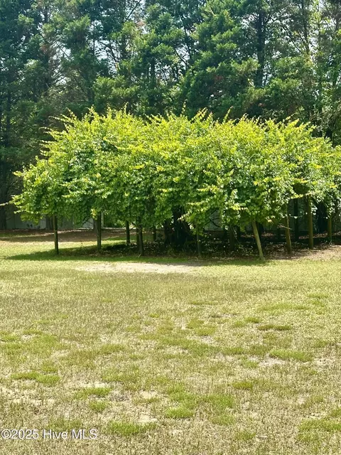 Exterior - 109 Conway Rd, Fair Bluff, NC 28439 photo 12 of 14