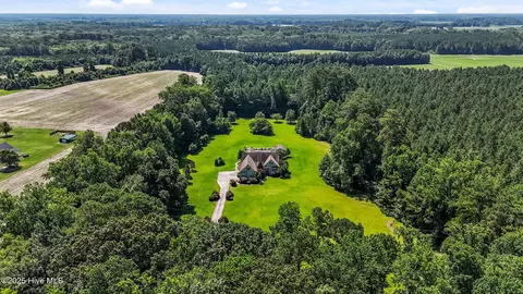 View/Area - 1910 Big Mill Rd, Williamston, NC 27892 photo 6 of 7
