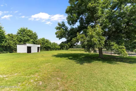 8880 Willard Rd, Willard, NC 28478 photo 41