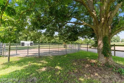 8880 Willard Rd, Willard, NC 28478 photo 44