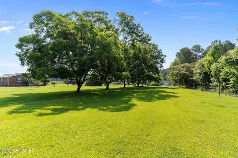8880 Willard Rd, Willard, NC 28478 photo 36
