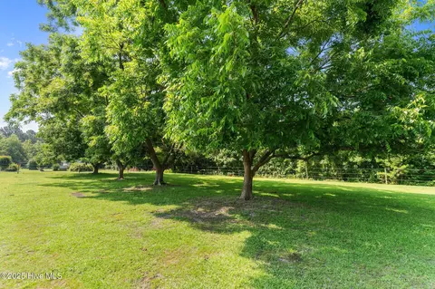 8880 Willard Rd, Willard, NC 28478 photo 42