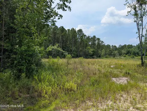 000 Nine Mile Rd, Maple Hill, NC 28454