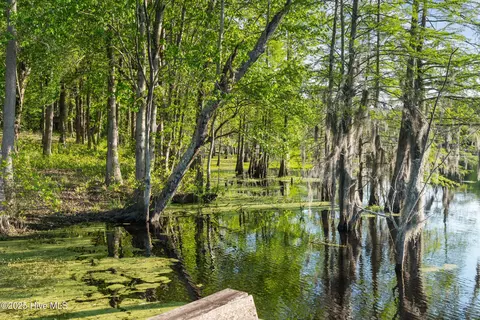 322 Dillards Mill Rd, Tyner, NC 27980 photo 60
