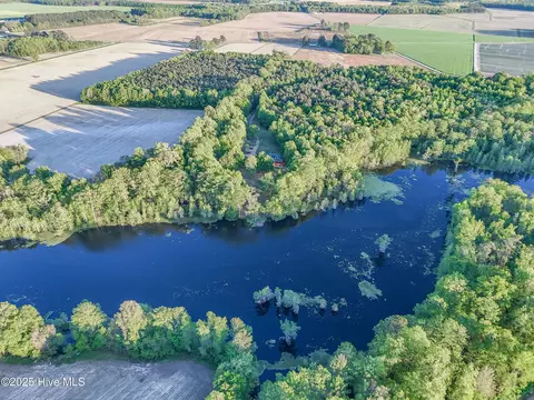 322 Dillards Mill Rd, Tyner, NC 27980 photo 66