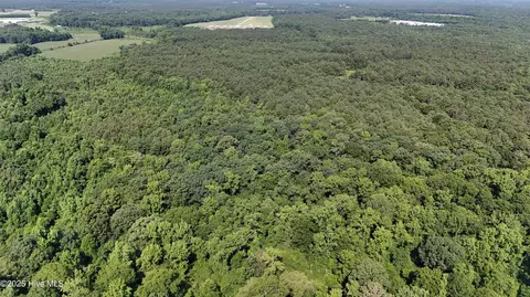 0 Reedsford Rd, Turkey, NC 28393