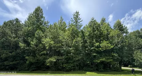 263 Whites Crossing Ln, Whiteville, NC 28472
