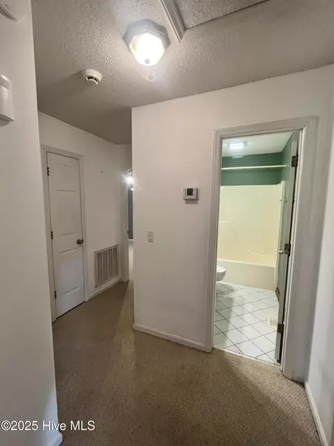 166 Clyde Ln, Cameron, NC 28326 photo 14