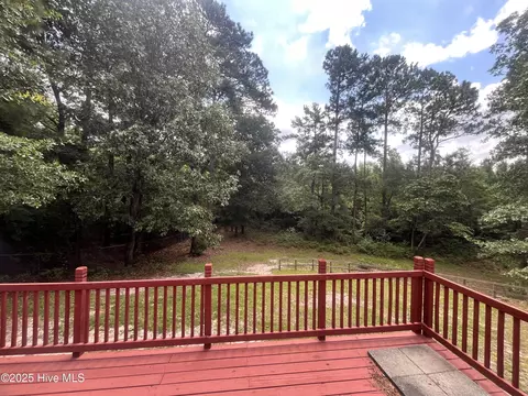 166 Clyde Ln, Cameron, NC 28326 photo 27