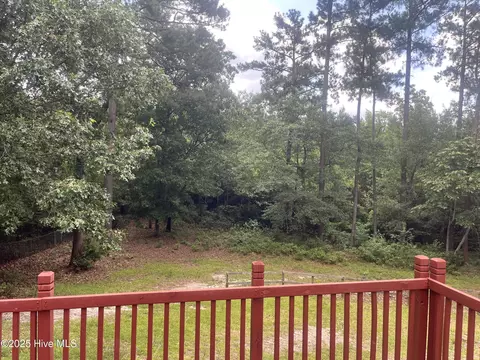 166 Clyde Ln, Cameron, NC 28326 photo 29