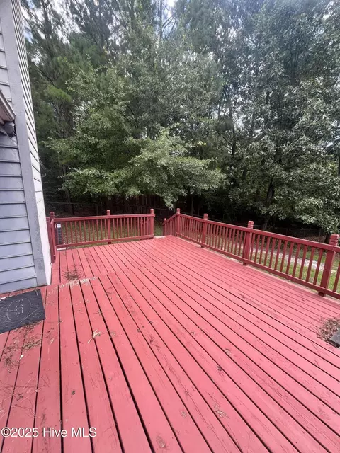 166 Clyde Ln, Cameron, NC 28326 photo 28