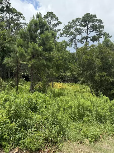 1015 Meridian Dr, Sneads Ferry, NC 28460