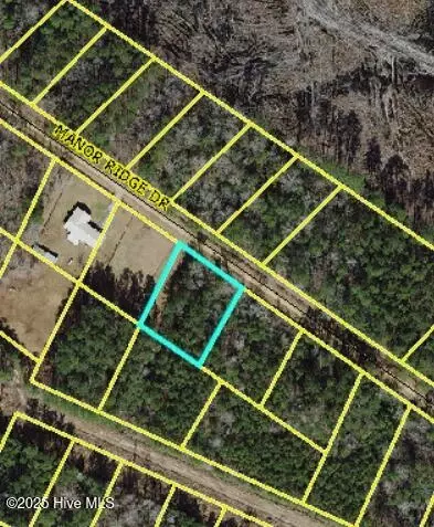 lot43 Manor Ridge Dr, Clarkton, NC 28433