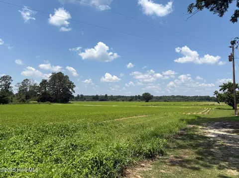 0 Near James B White Hwy N, Clarkton, NC 28433