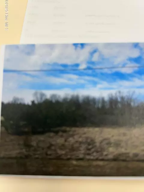 041 Stewartsville Cemetary Rd, Laurinburg, NC 28352