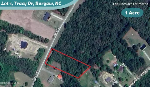 lot1 Tracy Dr, Burgaw, NC 28425