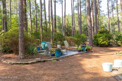 12 Sarclet Ct, Pinehurst, NC 28374 photo 39