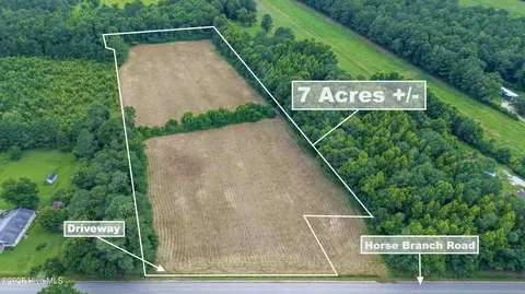 tbd Horse Branch Rd, Willard, NC 28478