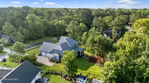 130 Iris Way, Hampstead, NC 28443 photo 66