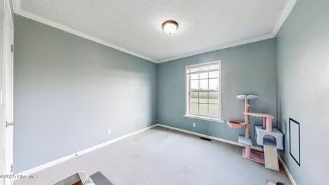 193 E Old Dover Rd, Dover, NC 28526 photo 38