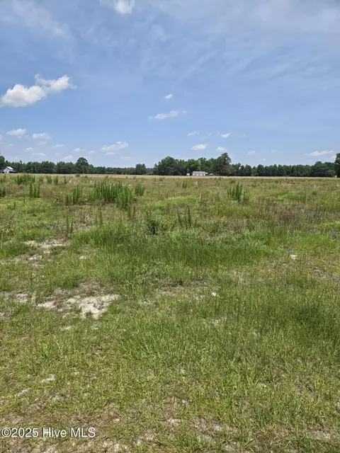 3050 Caroline Ave, Pink Hill, NC 28572