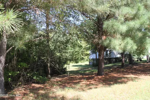 Exterior - 415 Cannons Ferry Rd, Tyner, NC 27980 photo 5 of 6