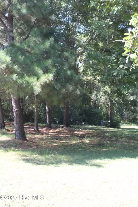 Other - 415 Cannons Ferry Rd, Tyner, NC 27980 photo 3 of 13