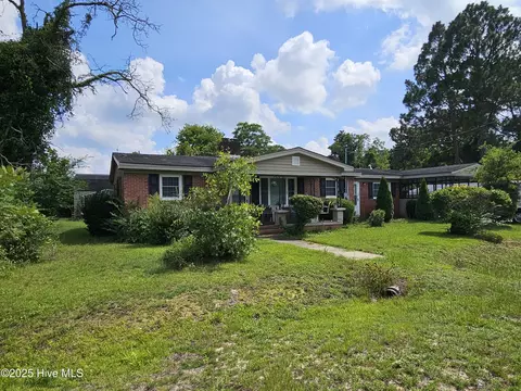 119 Love Dr, Dudley, NC 28333