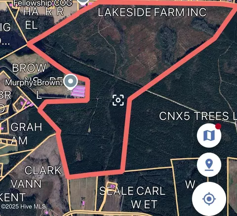 0 Lisbon Rd, Clarkton, NC 28433